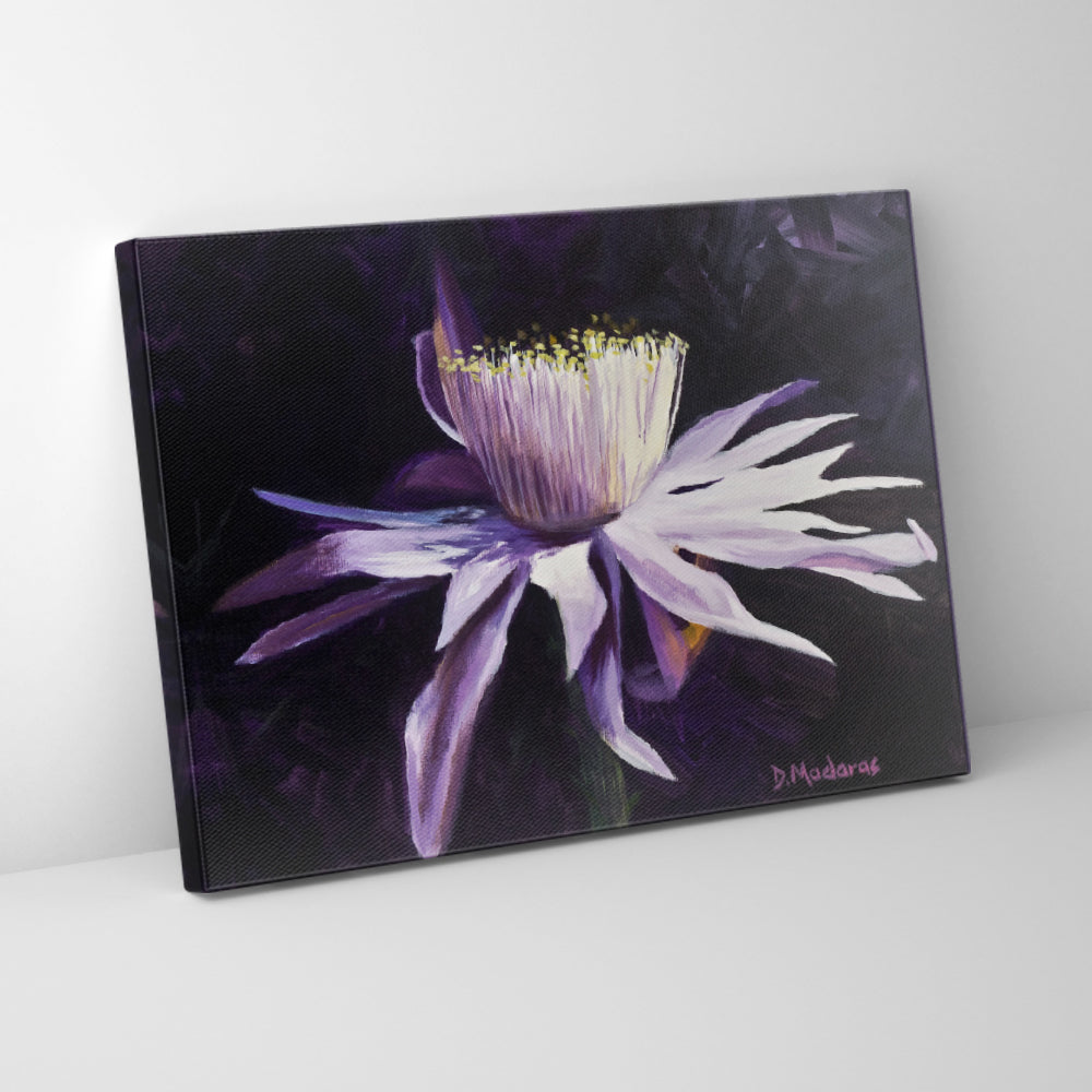 Night Blooming Cereus 1- Canvas