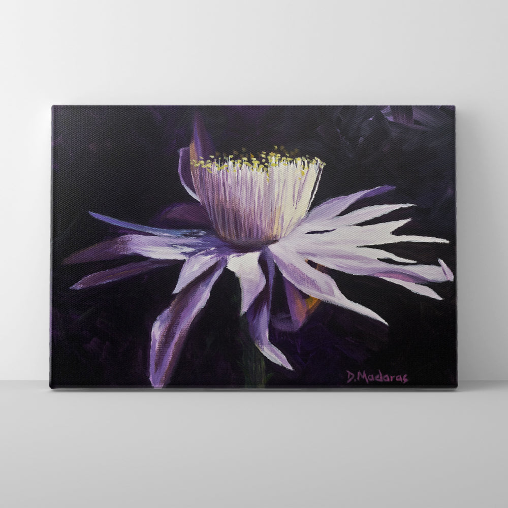 Night Blooming Cereus 1- Canvas