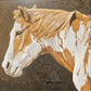 Cheyenne by Nicholas Wilson