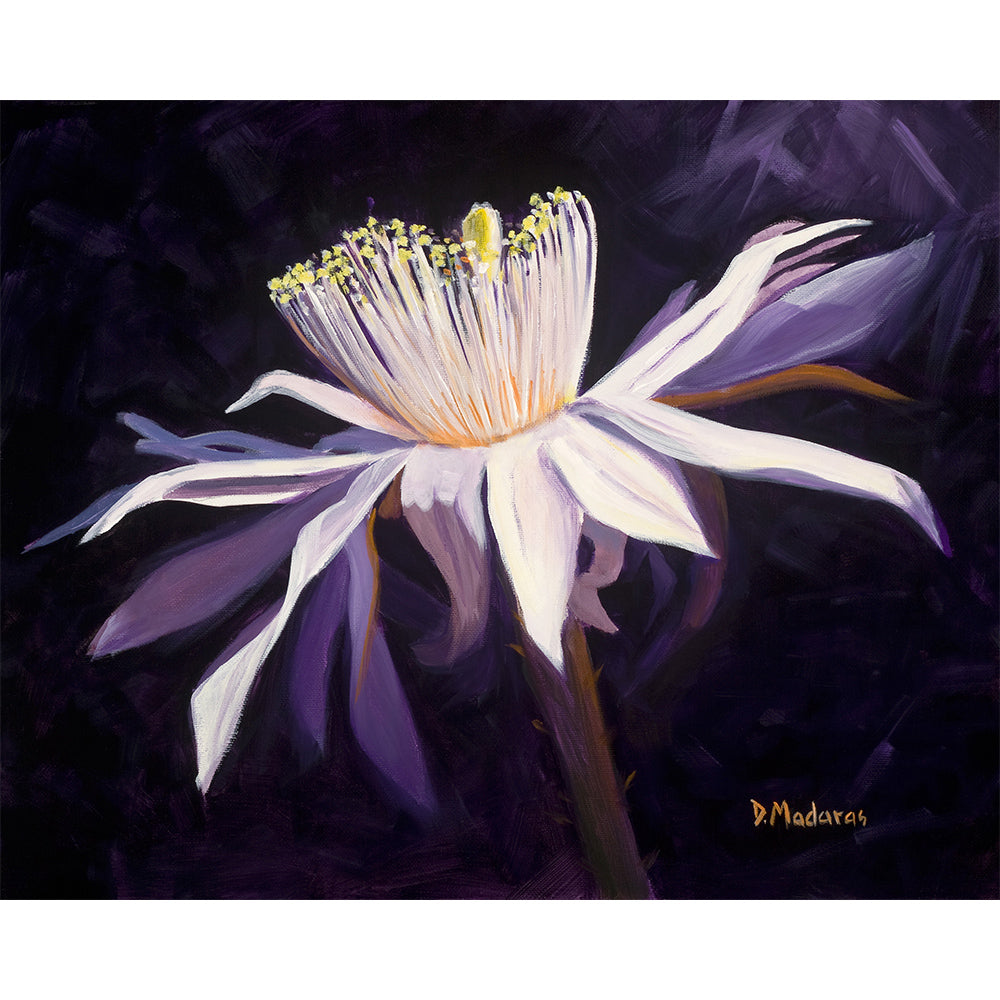 Night Blooming Cereus 2- Matted Print