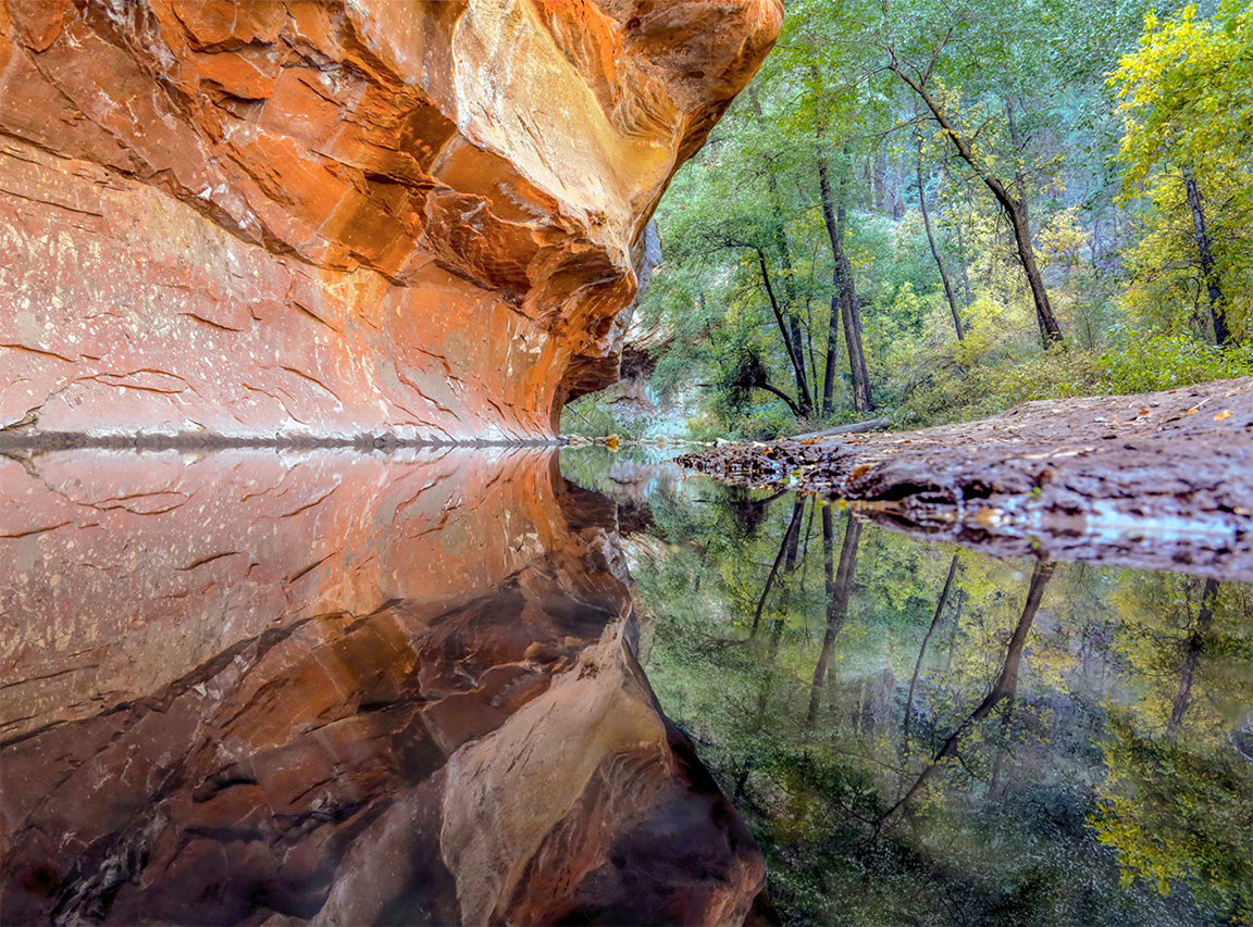 Oak Creek West Fork Reflection by Ray Del Muro