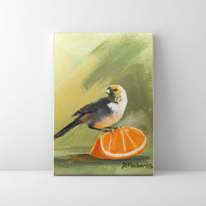 Orange Finch- Canvas