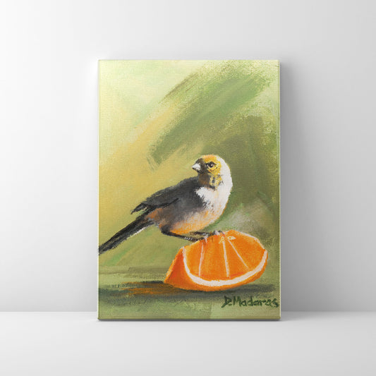 Orange Finch- Canvas