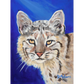 Portrait of a Wildcat - Canvas