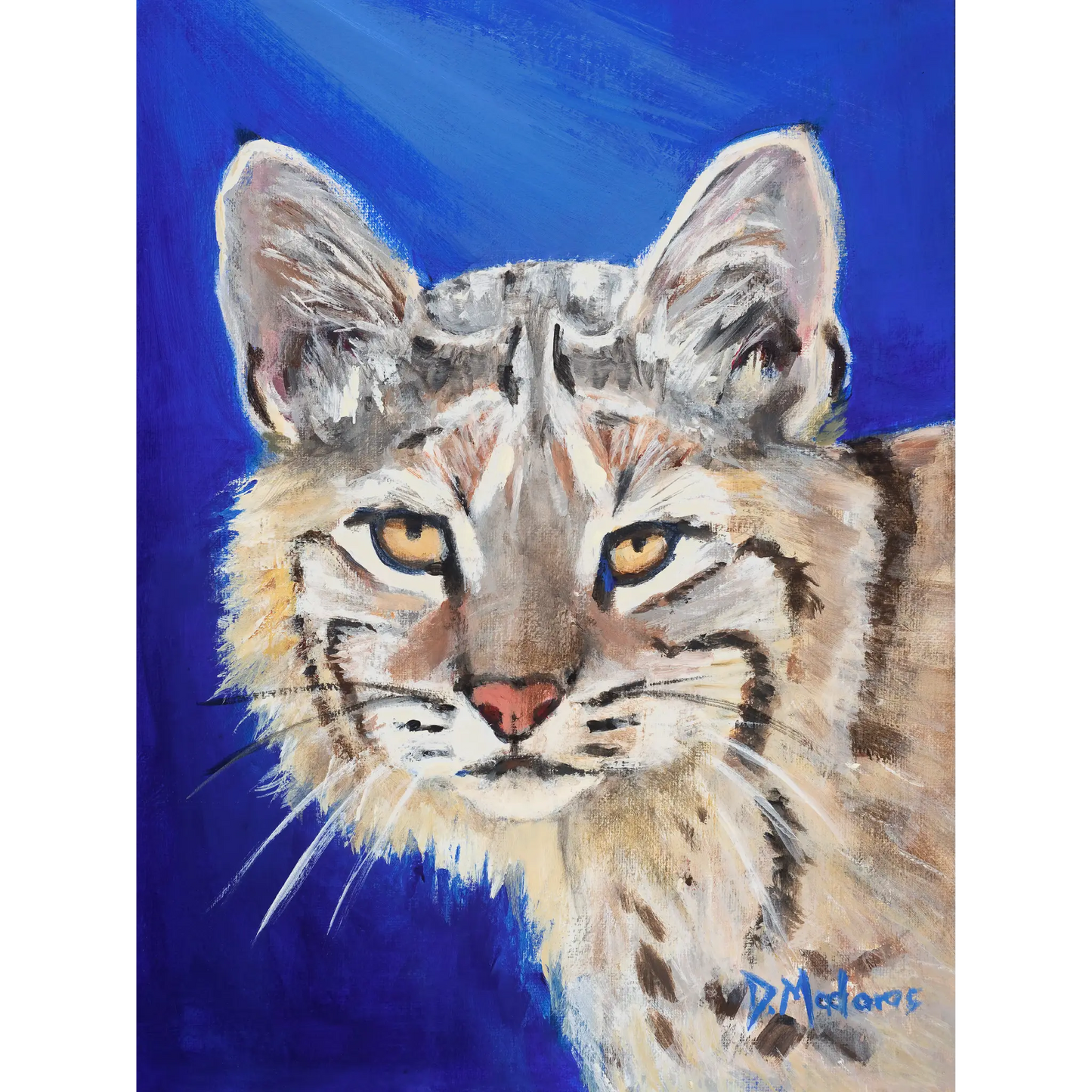 Portrait of a Wildcat - Canvas