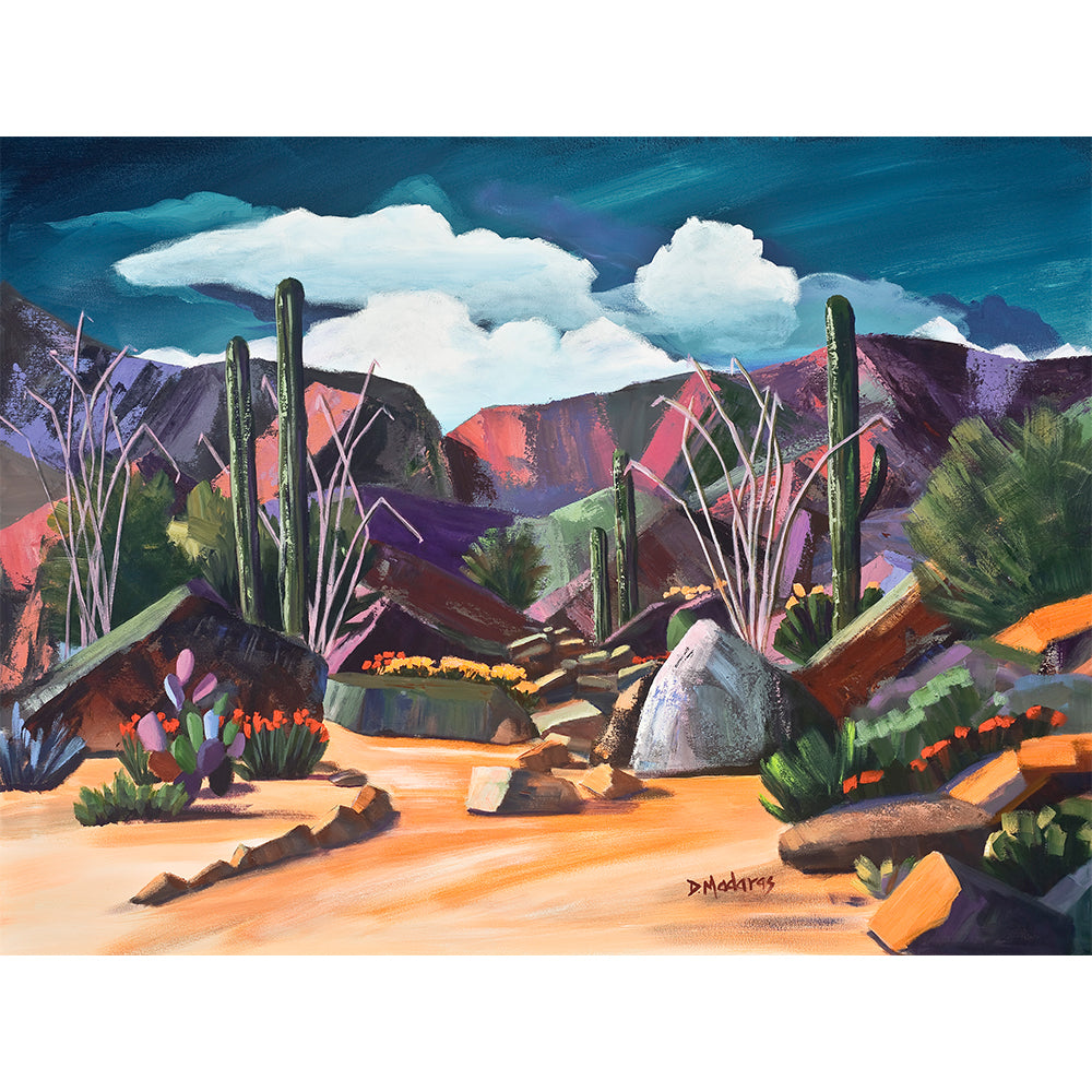 Pink Ocotillo II- Canvas