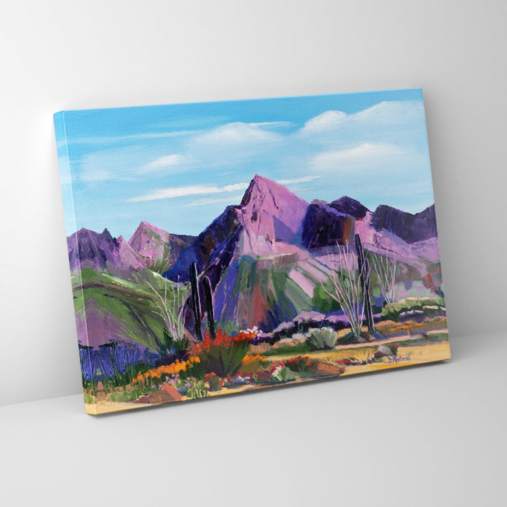 Pink Ocotillo at Pusch Ridge- Canvas