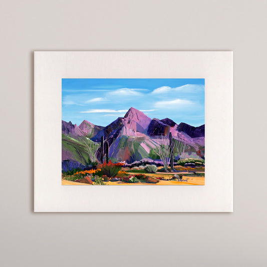 Pink Ocotillo at Pusch Ridge- Matted Print