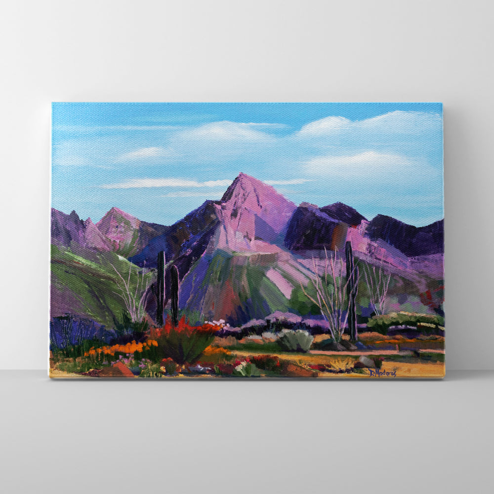 Pink Ocotillo at Pusch Ridge- Canvas