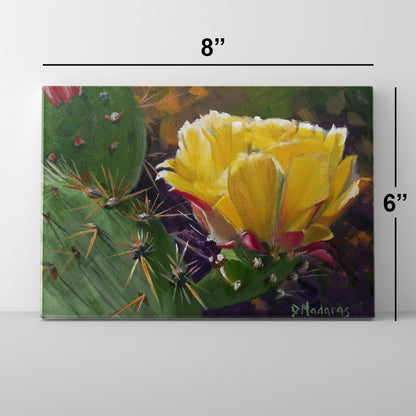 Prickly Pear Bloom- Mini Canvas