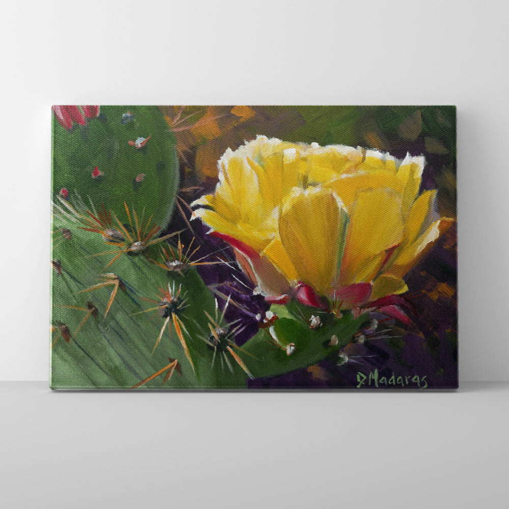 Prickly Pear Bloom- Canvas