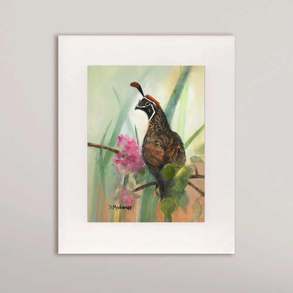 Dreamy Quail- Matted Print