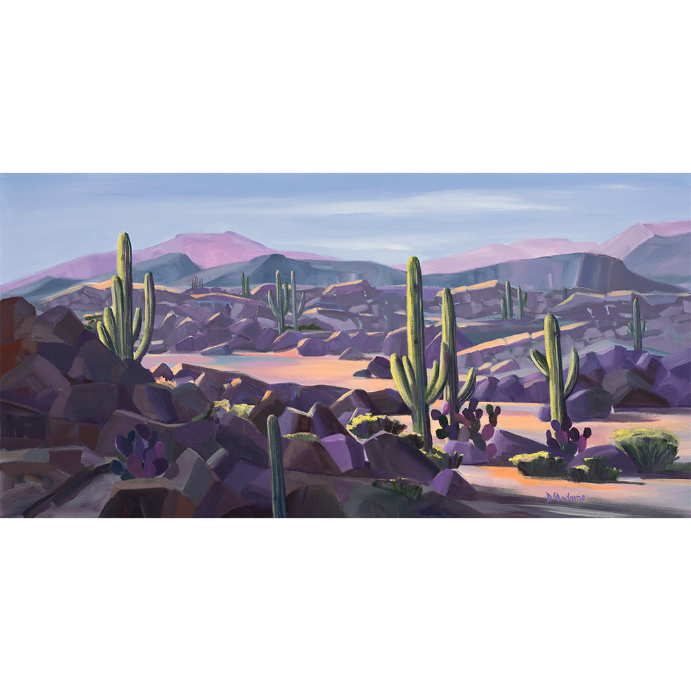 Rocks in the Desert- Canvas Panorama