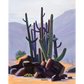 Saguaro Celebration - Canvas