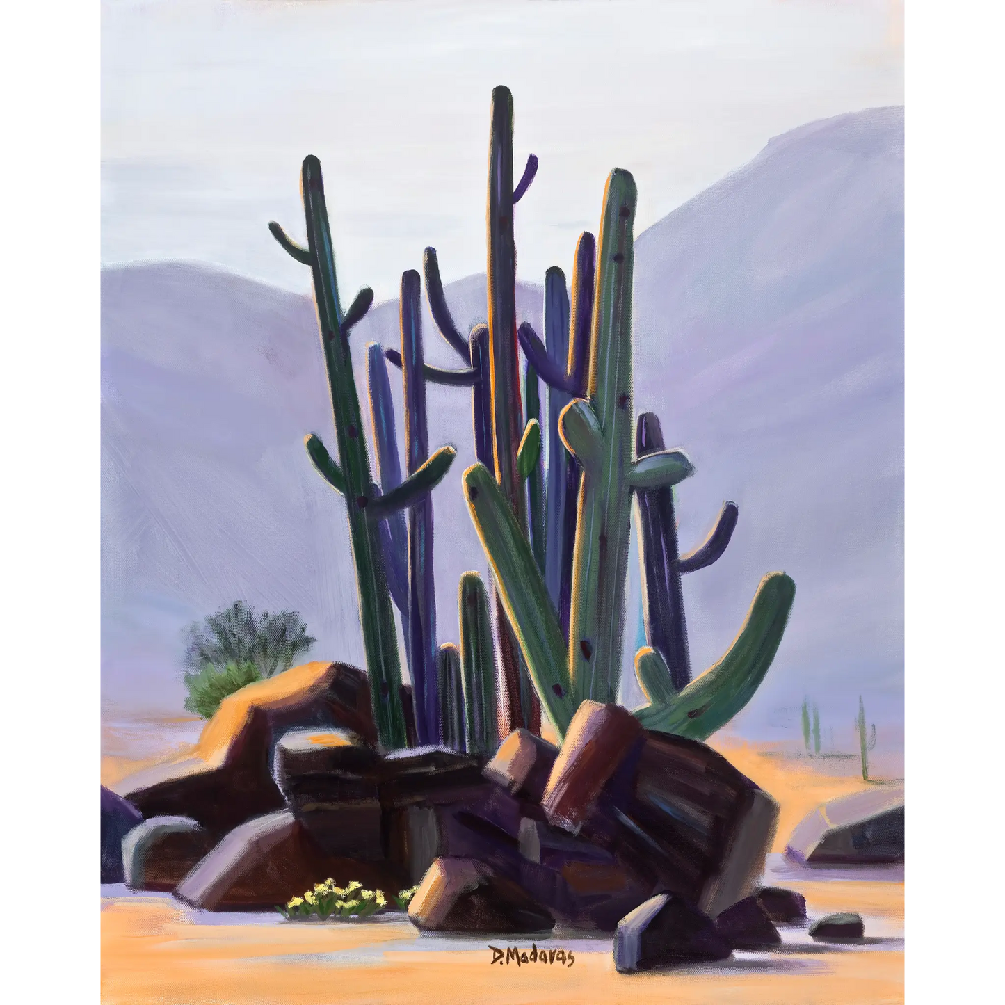 Saguaro Celebration - Canvas