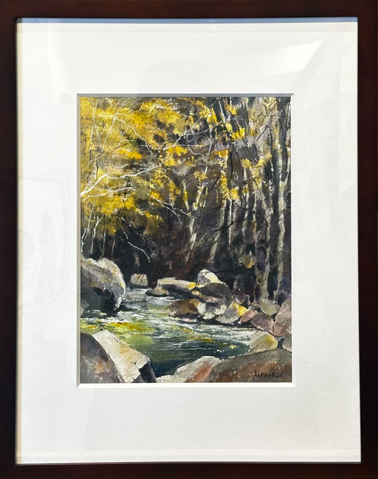 Sabino Saturday by Chuck Albanese