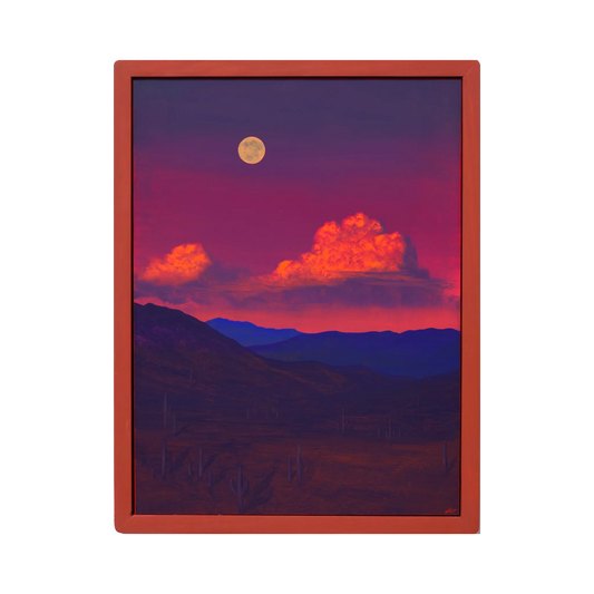 Saguaro National Park No.13 by Jake Trujillo