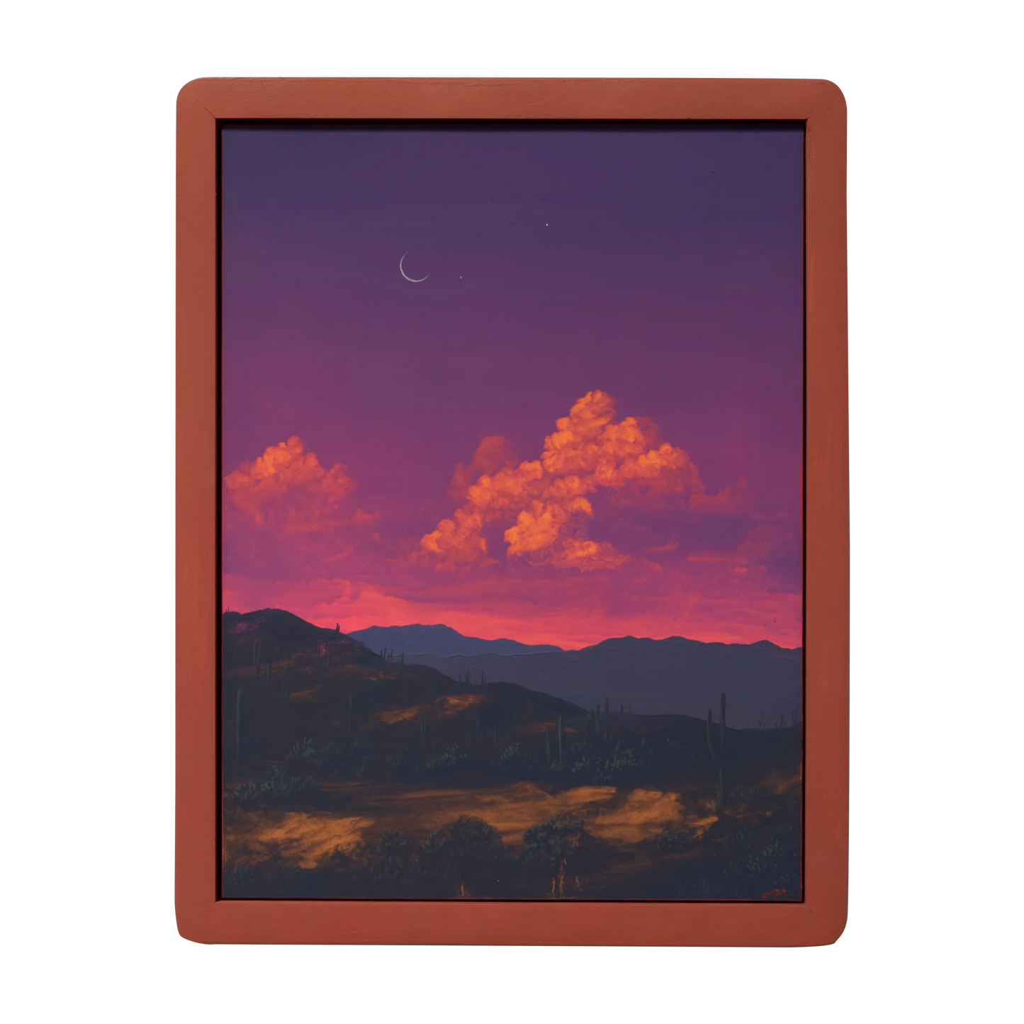 Saguaro Nat'l Park No.2 by Jake Trujillo