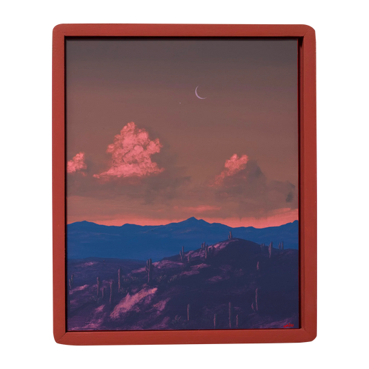 Saguaro Nat'l Park No.3 by Jake Trujillo