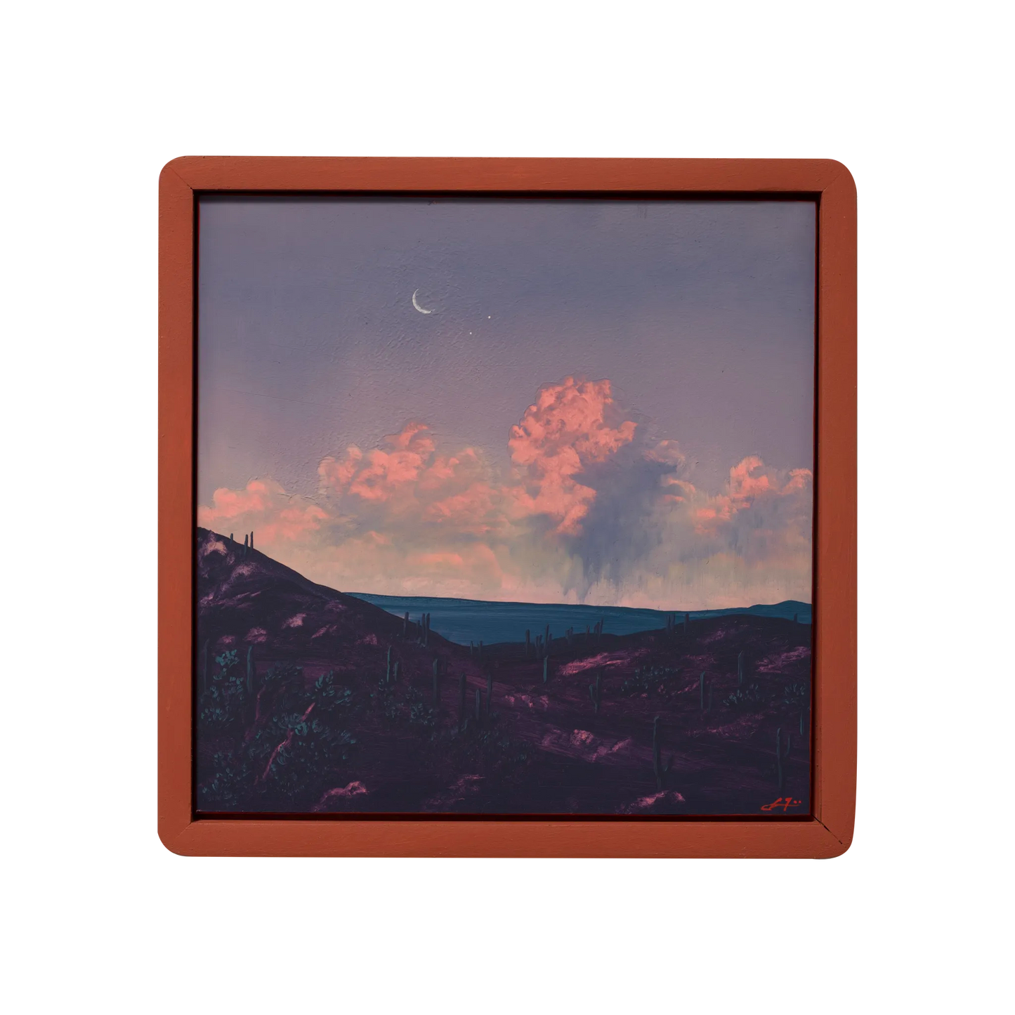 Saguaro Nat'l Park No.5 by Jake Trujillo