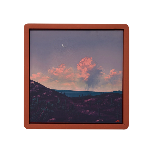 Saguaro Nat'l Park No.5 by Jake Trujillo