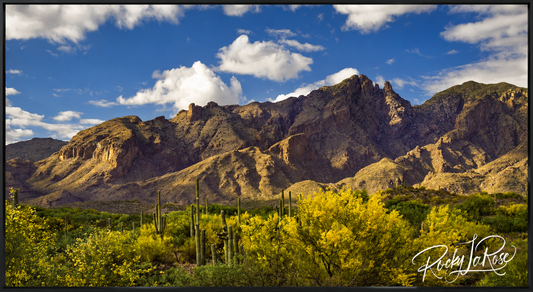 Catalina Colors by Rocky LaRose - Framed Aluminum 27x48"