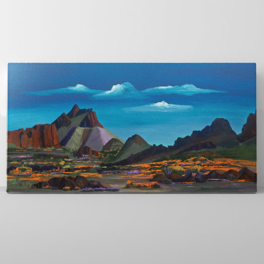 Super Bloom- Canvas Panorama