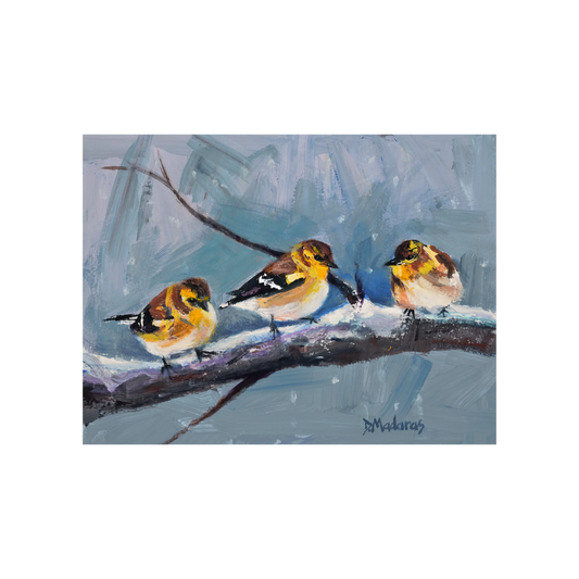 Three Yellow Finches- Matted Print