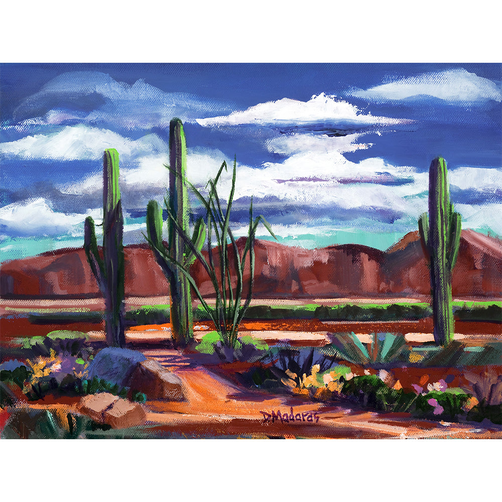 Trail in the Desert- Canvas