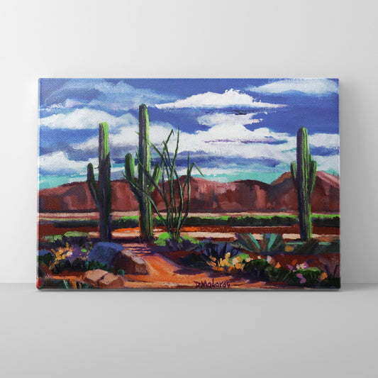 Trail in the Desert- Canvas