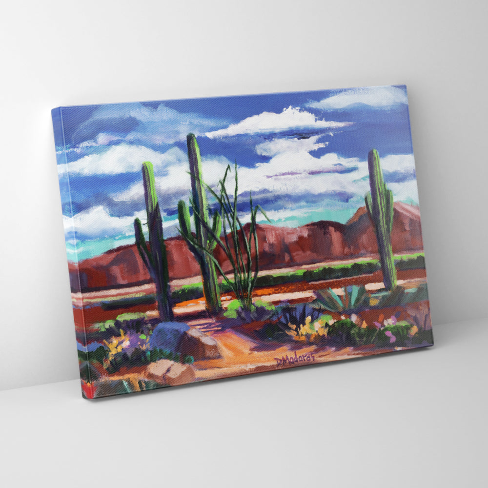 Trail in the Desert- Canvas