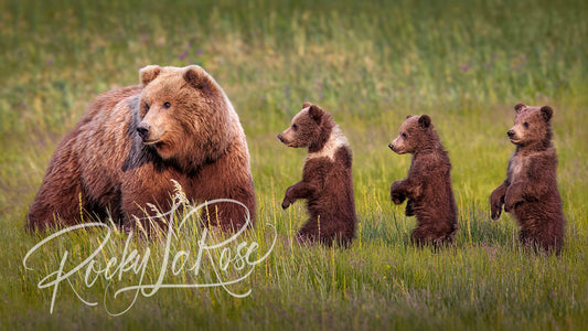 Triple Take by Rocky LaRose - Canvas Giclee