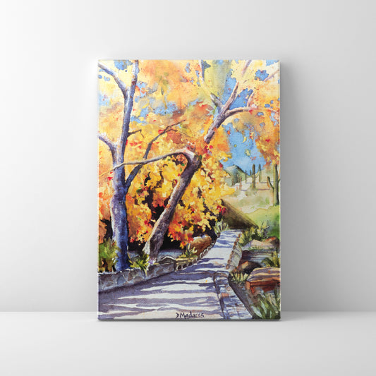 Walk in Sabino - Mini Canvas