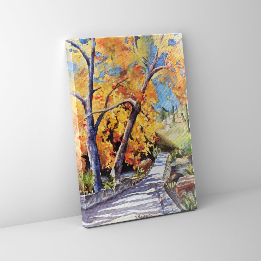 Walk in Sabino - Mini Canvas