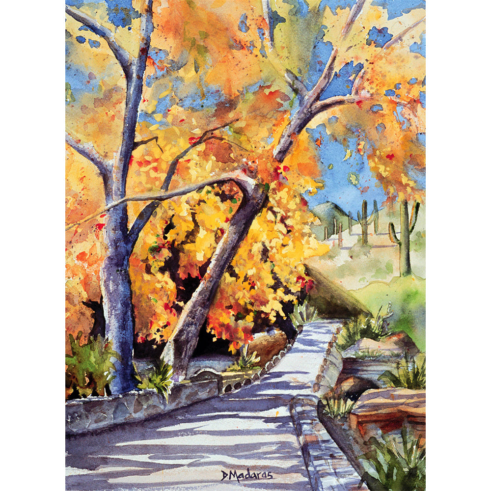 Walk in Sabino- Matted Print