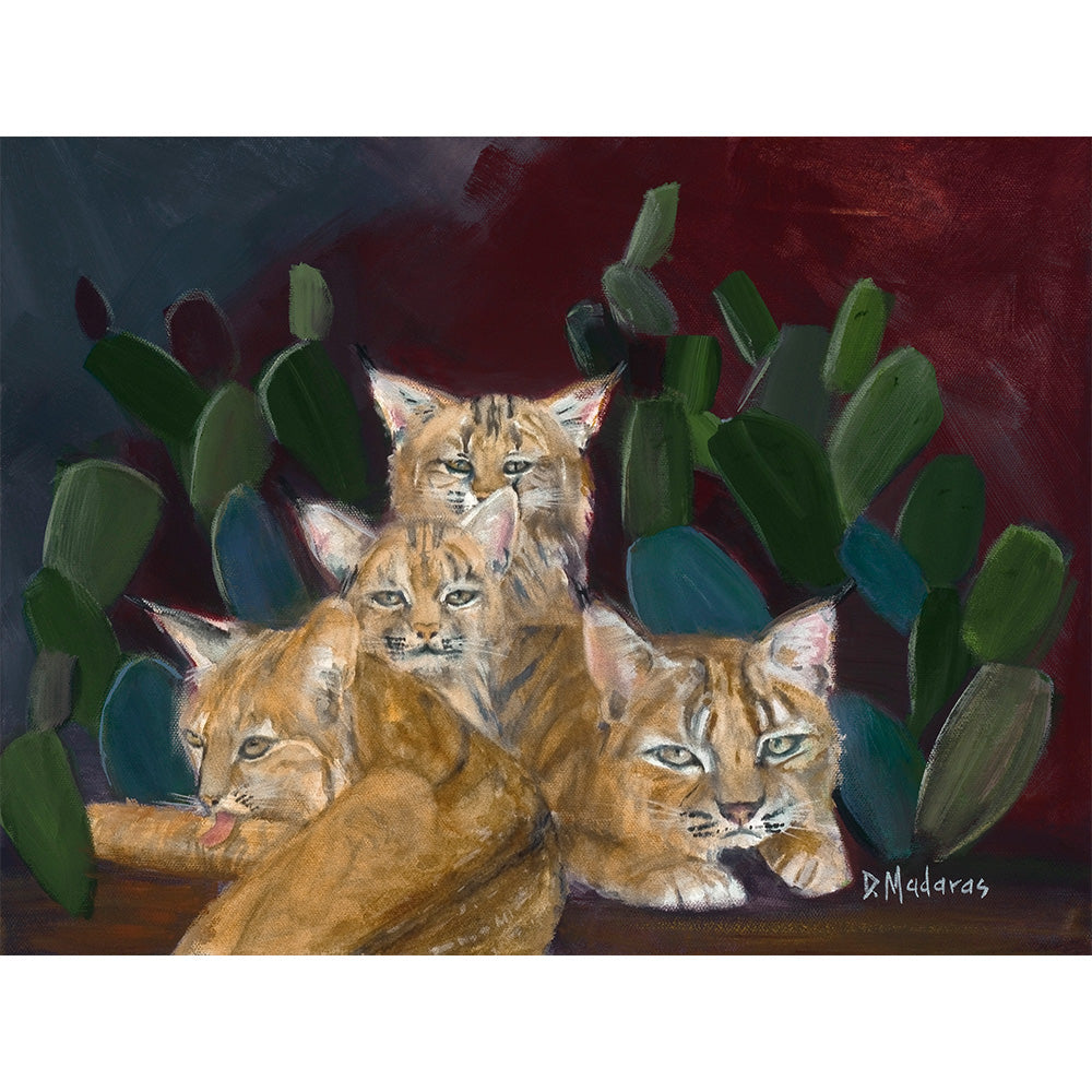 Wildcats in the Cactus Lair- Canvas
