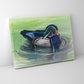 Wood Duck- Canvas