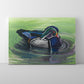 Wood Duck- Canvas