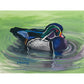 Wood Duck- Canvas