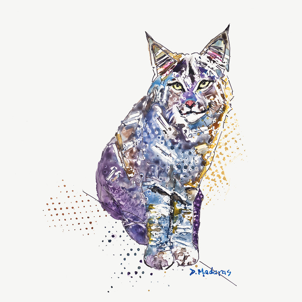 Amber's Bobcat - Canvas