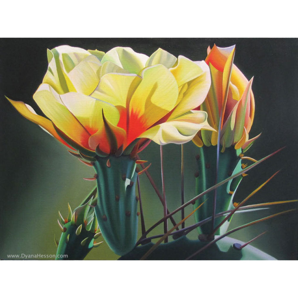 Arizona Wink by Dyana Hesson