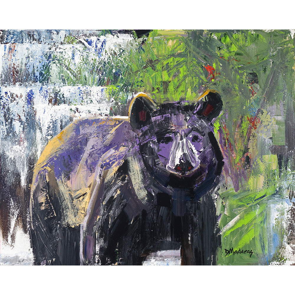 Bear in the Woods - Canvas