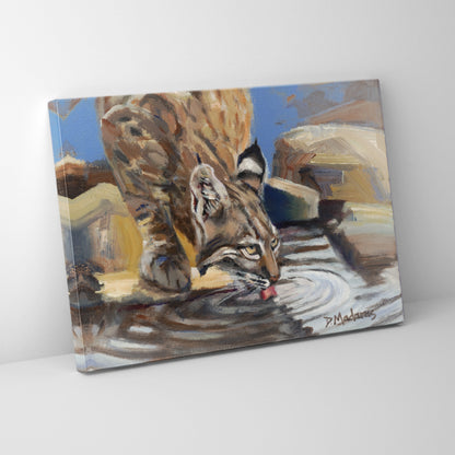 Bobcat at the Pool- Canvas