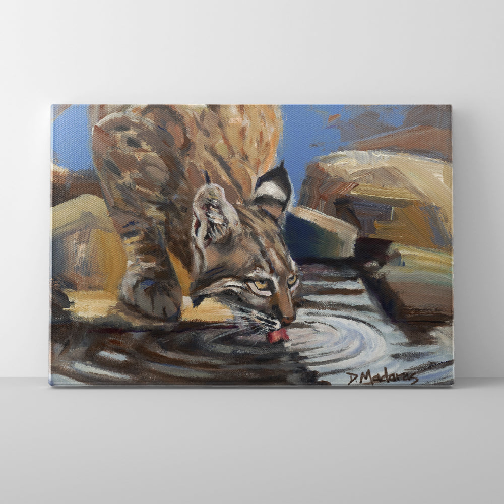 Bobcat at the Pool- Canvas