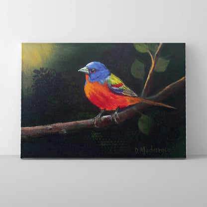 Bunting at Dawn - Canvas