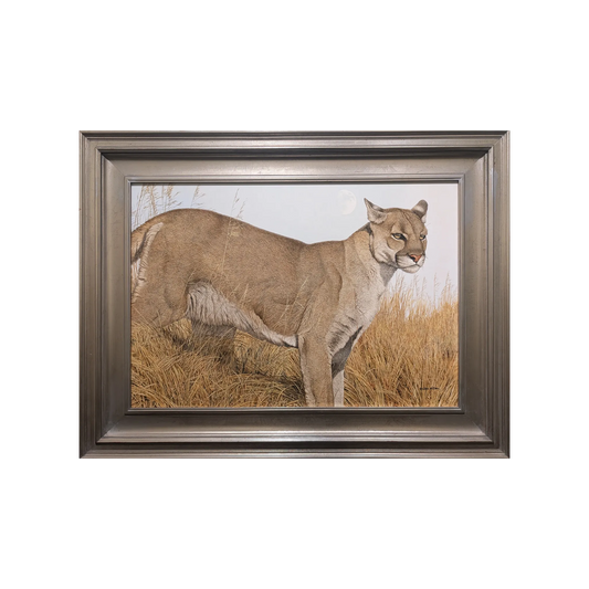 Daylight Moon by Nicholas Wilson