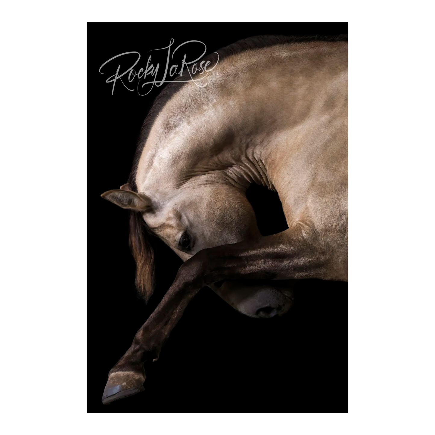 La Reverencia by Rocky LaRose - Metal Print