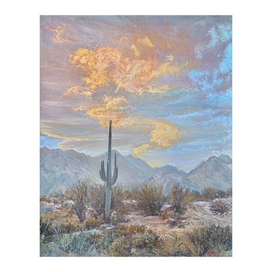 Illuminated Desert by John Horejs