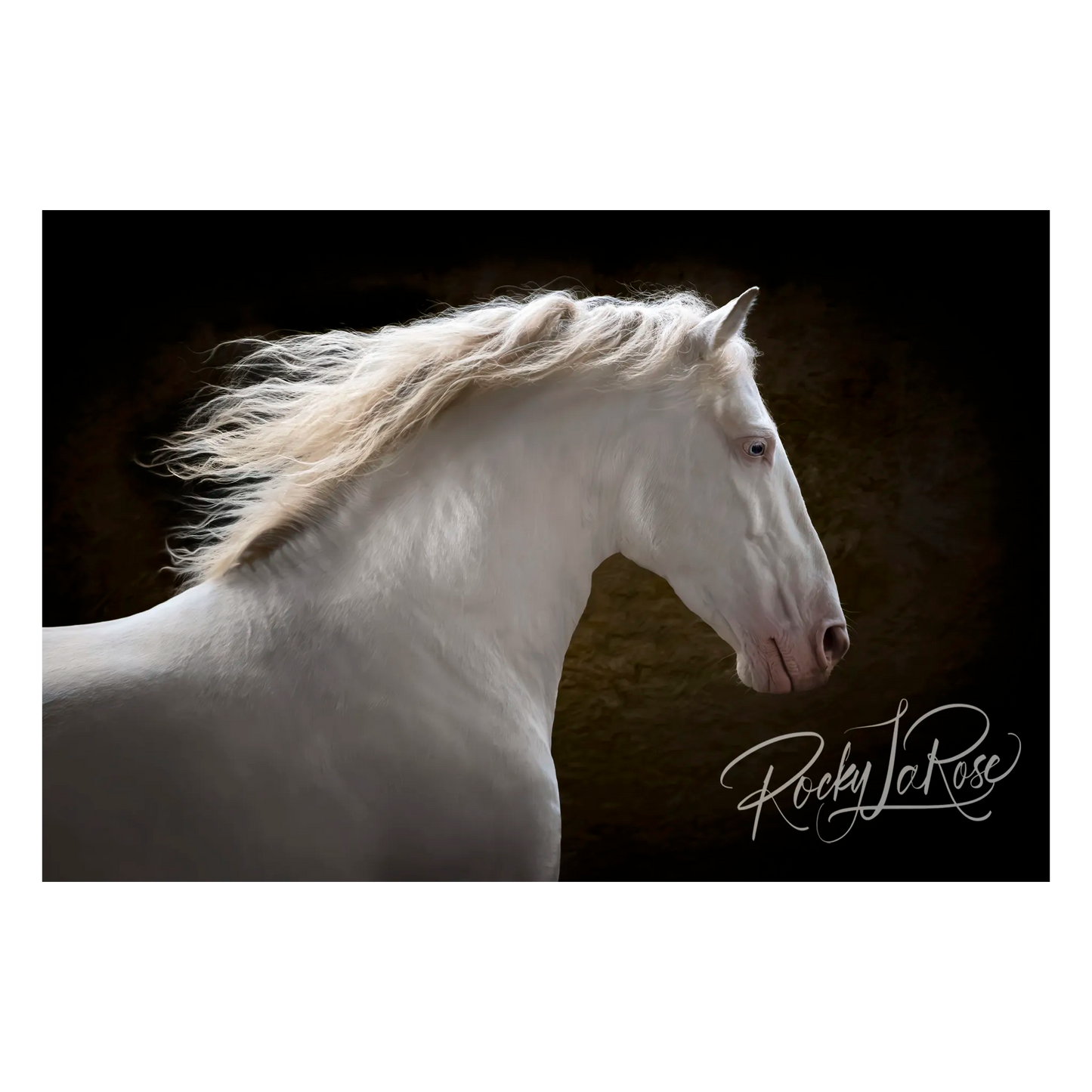 Luna (Inner Light) by Rocky LaRose - Canvas Giclee