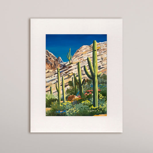 Mike's Saguaros - Matted Print